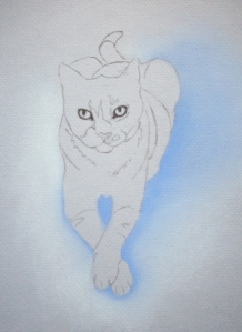 Deuce the Cat Traced Sketch