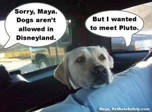 Maya Disneyland Pluto
